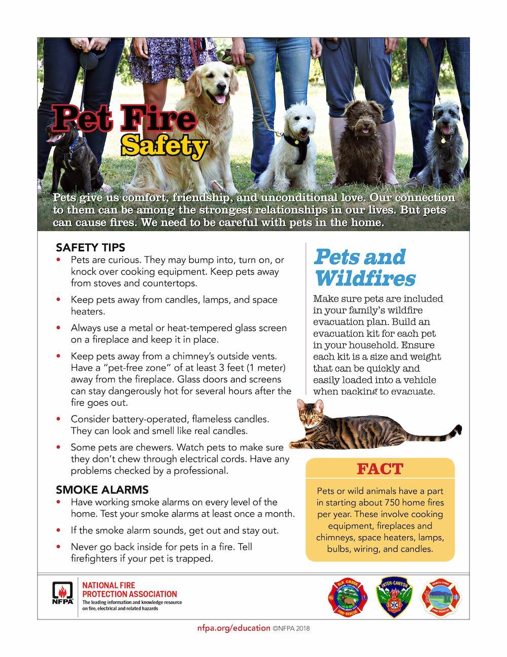 National Pet Fire Safety Day Tips from National Fire Protection Association