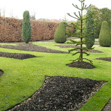 Picture of a Well Manicured Area