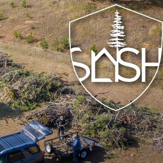 Picture of the Slash Collection