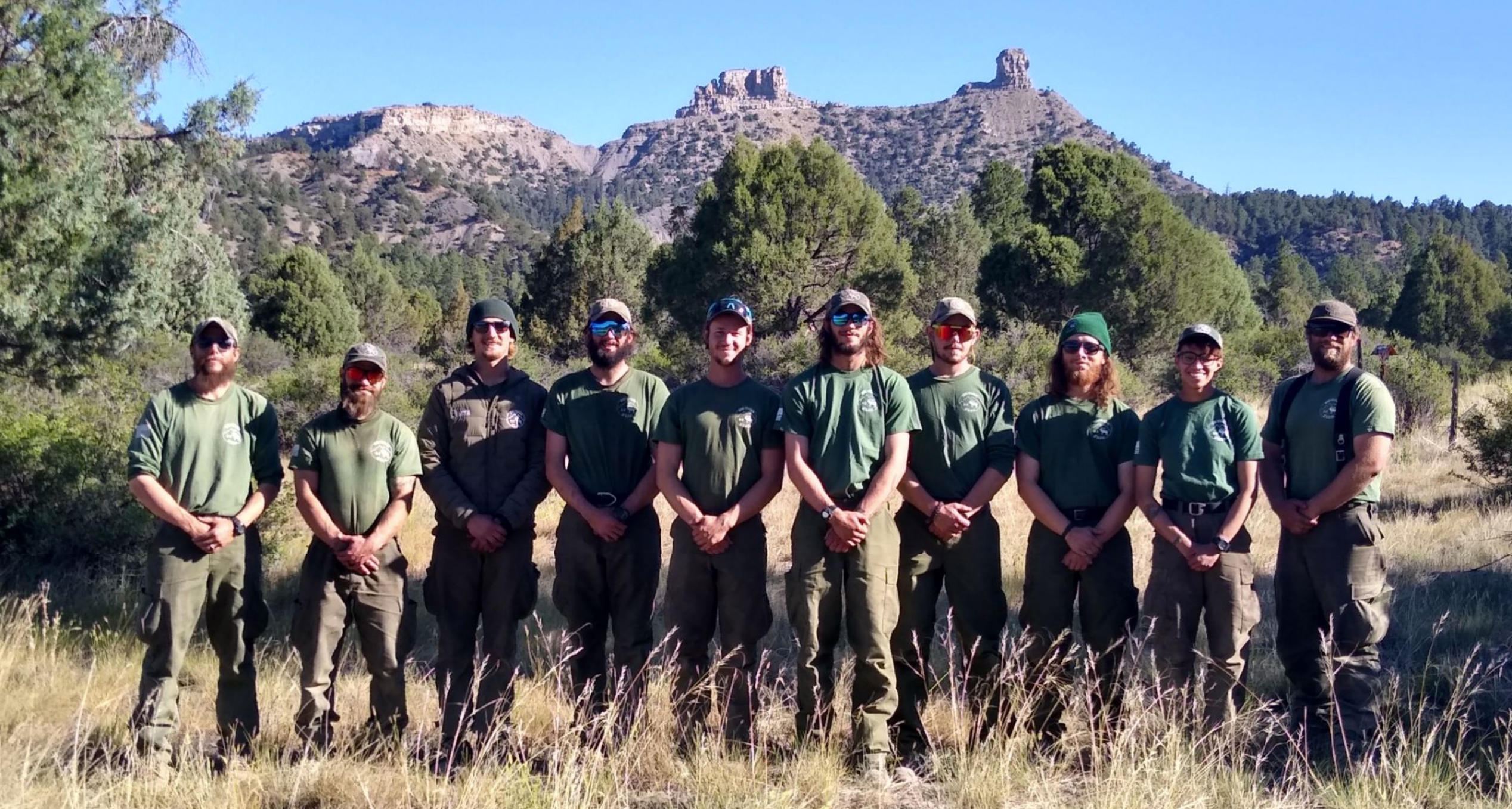 Wildfire Suppresion Module