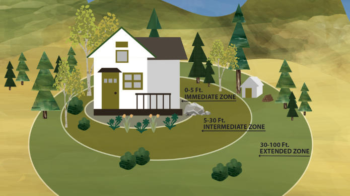 Diagram of Where Not to Mulch