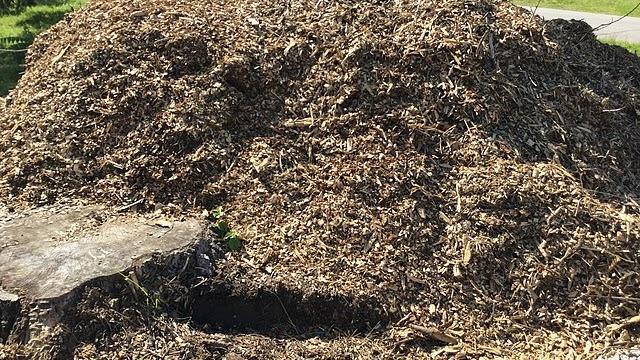 Wood Chip Pile